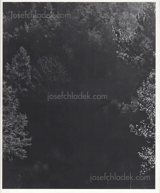 Cover of Awoiska van der Molen - Sequester