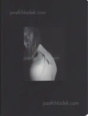Cover of Salvi Danés - Transmontanus