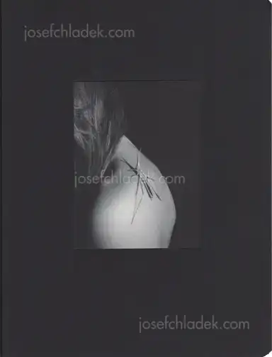 Salvi Danés - Transmontanus Salvi Danés - Transmontanus