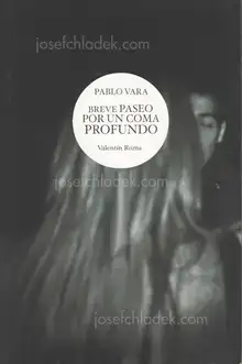 Cover of Pablo Vara - Breve Paseo por un Coma Profundo