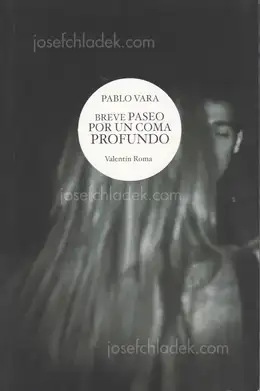 Cover of Pablo Vara - Breve Paseo por un Coma Profundo