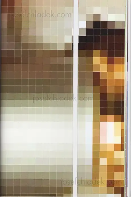 Cover of Anouk Kruithof - Pixel Stress