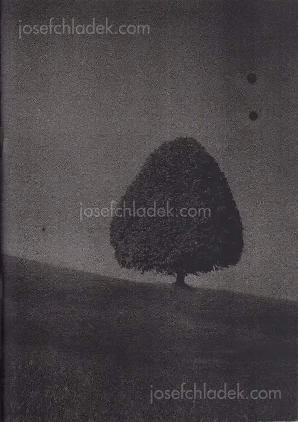 Cover of Daisuke Yokota - Site