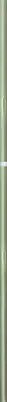 Book spine: Anouk Kruithof - Lang Zal Ze Leven / Happy Birthday To You