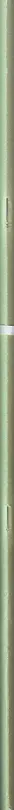 Book spine: Anouk Kruithof - Lang Zal Ze Leven / Happy Birthday To You