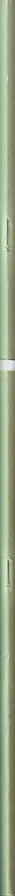 Book spine: Anouk Kruithof - Lang Zal Ze Leven / Happy Birthday To You