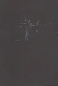 Sean Lee - Shauna 2007 – 2009