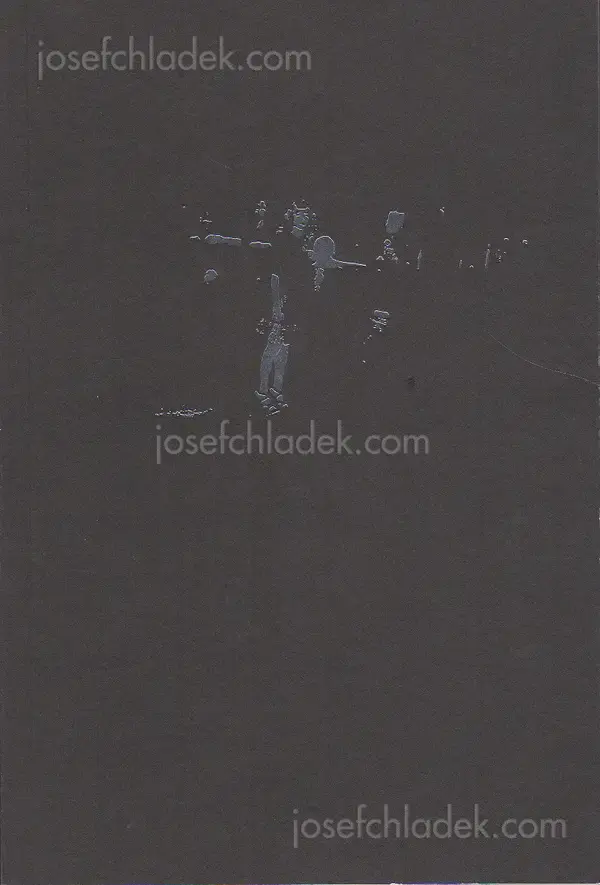 Cover of Sean Lee - Shauna 2007 – 2009