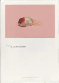 Robert Zhao Renhui - A Guide to the Flora and Fauna of the World