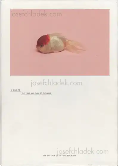 Cover of Robert Zhao Renhui - A Guide to the Flora and Fauna of the World