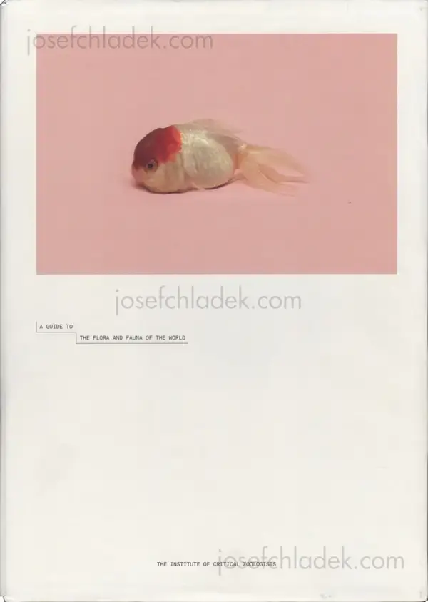 Cover of Robert Zhao Renhui - A Guide to the Flora and Fauna of the World