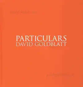 David Goldblatt - Particulars