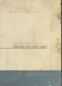 Katrien de Blauwer - I do not want to disappear silently into the night