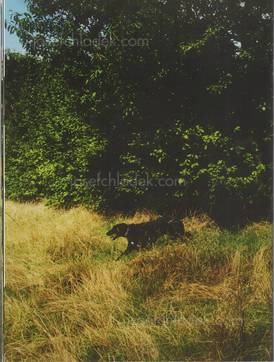  Koji Onaka - One More Bottled Beer (Back)