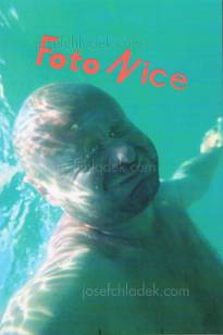  Morten Andersen - Foto Nice (Front)