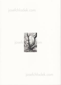  Enrique Metinides - Series (Back)