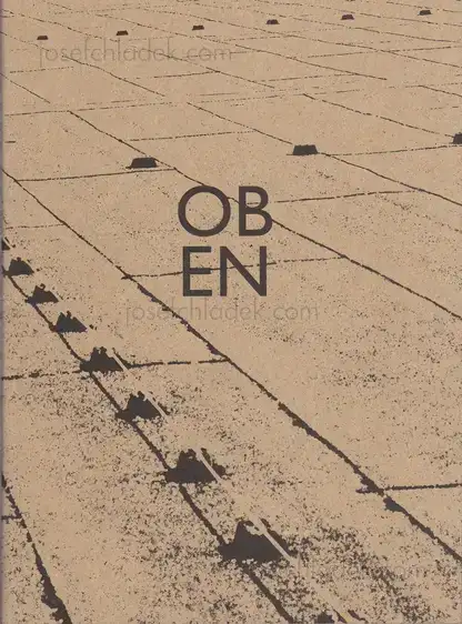 Cover of Diane Vincent - OBEN