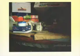 Wytske van Keulen - Sous cloche