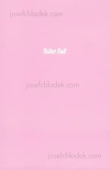 Thomas Mailaender - Toilet Fail Thomas Mailaender - Toilet Fail