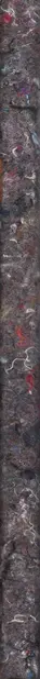 Book spine: Klaus Pichler - Dust