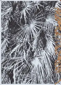 Stephan Keppel - Entre Entree