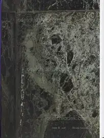 Hiroshi Takizawa - étude III : _WALL