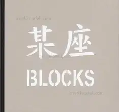 Dustin Shum - BLOCKS