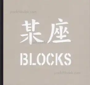 Dustin Shum - BLOCKS