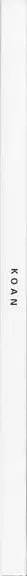 Book spine: Xiaoyi Chen - Koan