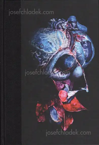 Cover of Cyril Costilhes - Grand Circle Diego
