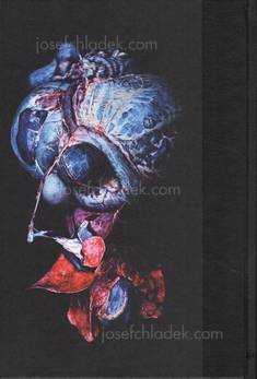  Cyril Costilhes - Grand Circle Diego (Back)