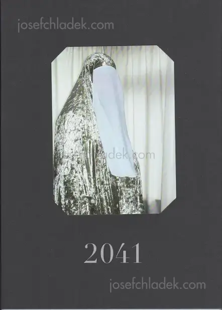 Cover of 2041 - 2041