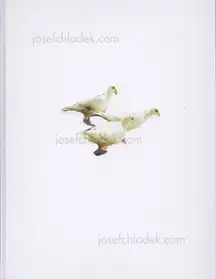 Carolyn Drake - Wild Pigeon