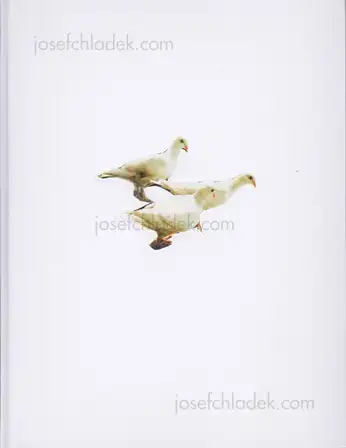 Cover of Carolyn Drake - Wild Pigeon