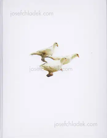 Cover of Carolyn Drake - Wild Pigeon