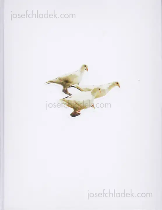 Cover of Carolyn Drake - Wild Pigeon
