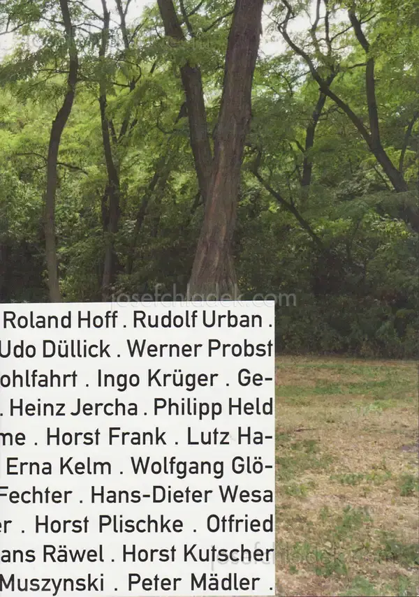 Cover of Rubén H. Bermúdez - Looking for freedom