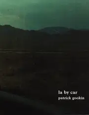 Patrick Gookin - LA By Car
