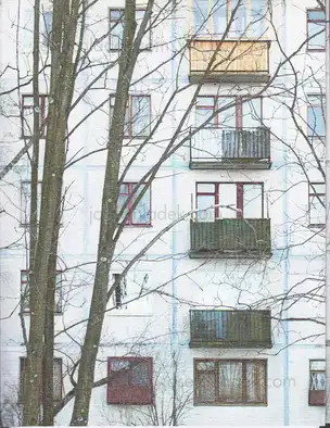 Cover of Julia Borissova - DOM (Document Object Model)