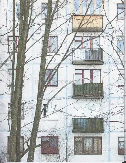 Cover of Julia Borissova - DOM (Document Object Model)