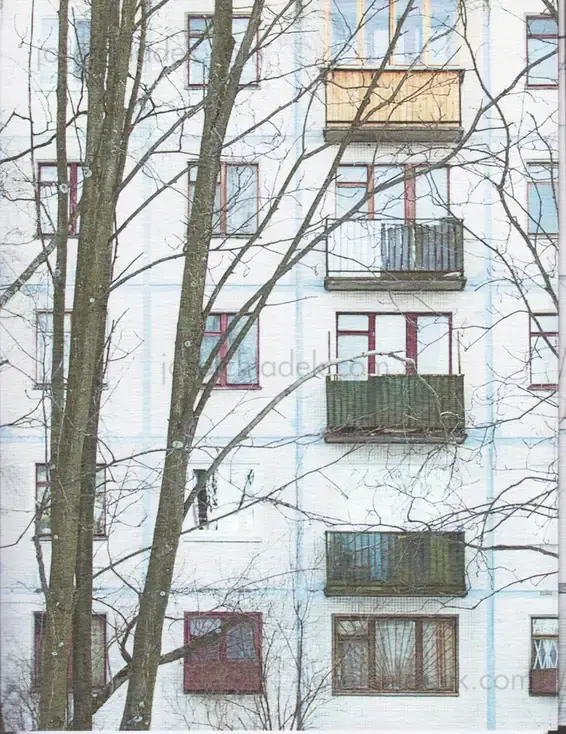 Cover of Julia Borissova - DOM (Document Object Model)