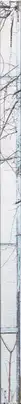 Book spine: Julia Borissova - DOM (Document Object Model)