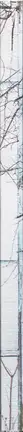 Book spine: Julia Borissova - DOM (Document Object Model)
