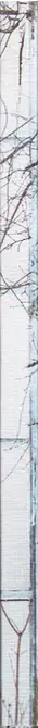 Book spine: Julia Borissova - DOM (Document Object Model)