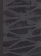 Daisuke Yokota and Hiroshi Takizawa - A.M.S. Trip Zine 02, Type B