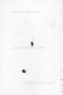  Brad Feuerhelm - Let us now Praise Infamous Men (Book back)