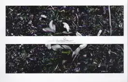 Fábio Miguel Roque - Hometown