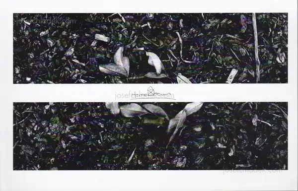 Cover of Fábio Miguel Roque - Hometown