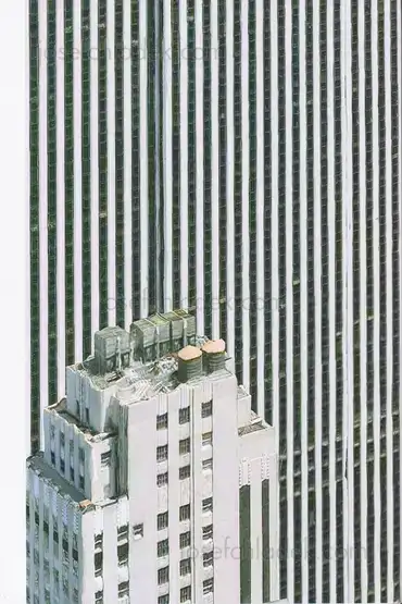 Cover of Regula Bochsler & Philipp Sarasin - The Rendering Eye: Urban America Revisited