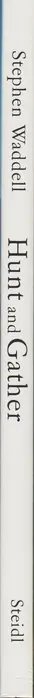 Book spine: Stephen Waddell - Hunt and Gather